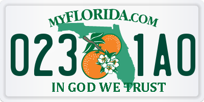 FL license plate 0231AO