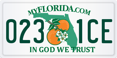 FL license plate 0231CE