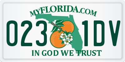 FL license plate 0231DV