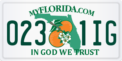 FL license plate 0231IG