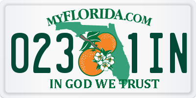 FL license plate 0231IN