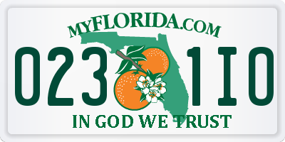 FL license plate 0231IO