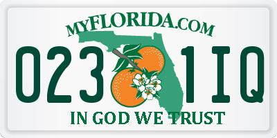 FL license plate 0231IQ