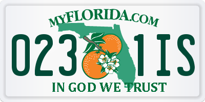 FL license plate 0231IS