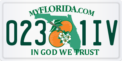 FL license plate 0231IV