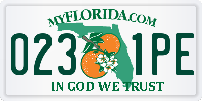 FL license plate 0231PE