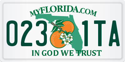 FL license plate 0231TA