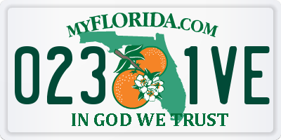 FL license plate 0231VE