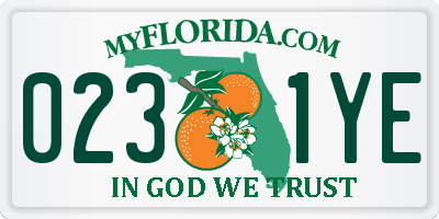 FL license plate 0231YE