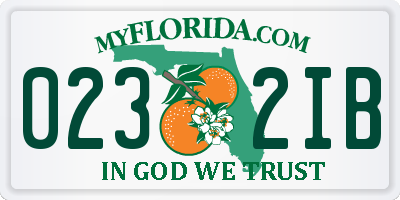 FL license plate 0232IB