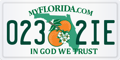 FL license plate 0232IE