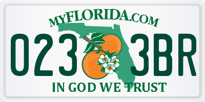 FL license plate 0233BR
