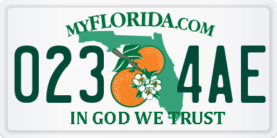 FL license plate 0234AE