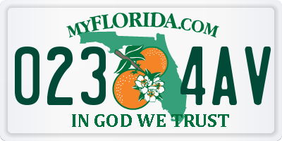 FL license plate 0234AV