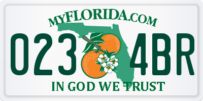 FL license plate 0234BR