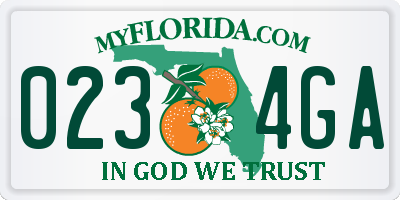 FL license plate 0234GA