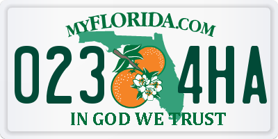 FL license plate 0234HA