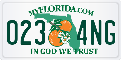 FL license plate 0234NG