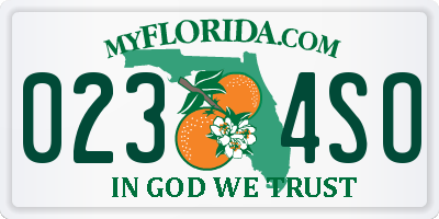 FL license plate 0234SO
