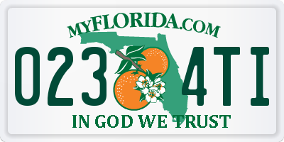 FL license plate 0234TI