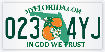 FL license plate 0234YJ