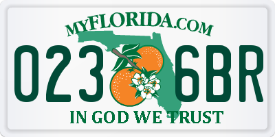 FL license plate 0236BR