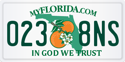 FL license plate 0238NS