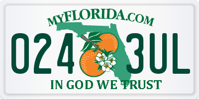 FL license plate 0243UL