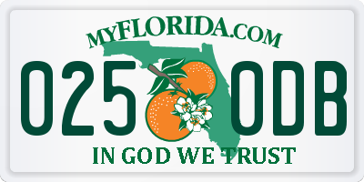 FL license plate 0250DB