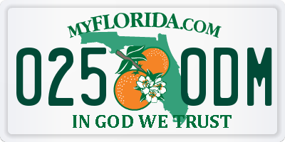FL license plate 0250DM