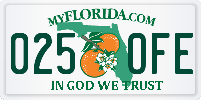 FL license plate 0250FE