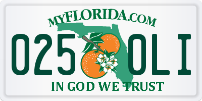 FL license plate 0250LI