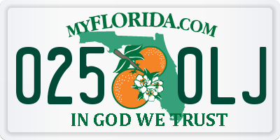 FL license plate 0250LJ