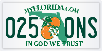 FL license plate 0250NS