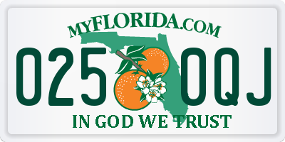 FL license plate 0250QJ