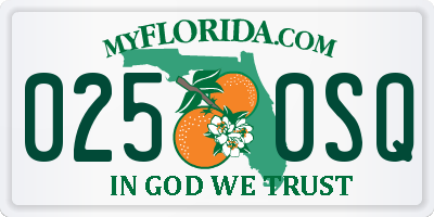 FL license plate 0250SQ