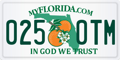 FL license plate 0250TM