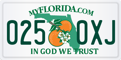 FL license plate 0250XJ