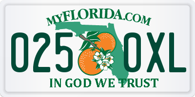 FL license plate 0250XL
