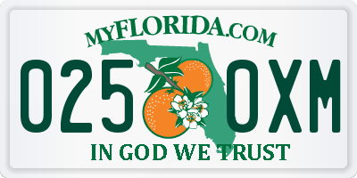 FL license plate 0250XM