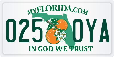 FL license plate 0250YA