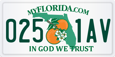 FL license plate 0251AV