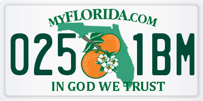 FL license plate 0251BM