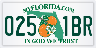 FL license plate 0251BR