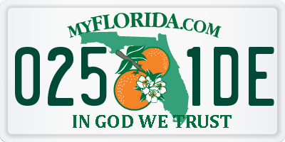 FL license plate 0251DE