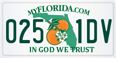 FL license plate 0251DV