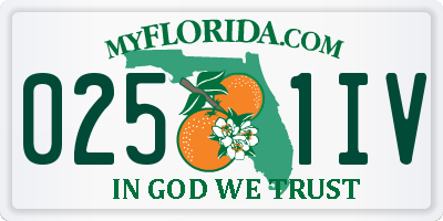 FL license plate 0251IV