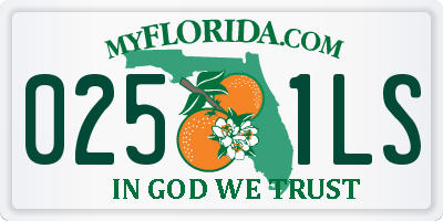 FL license plate 0251LS