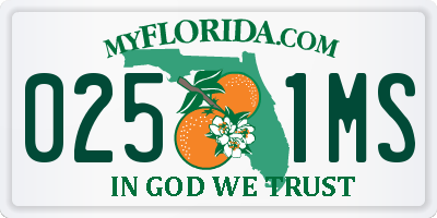 FL license plate 0251MS