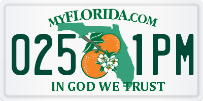 FL license plate 0251PM